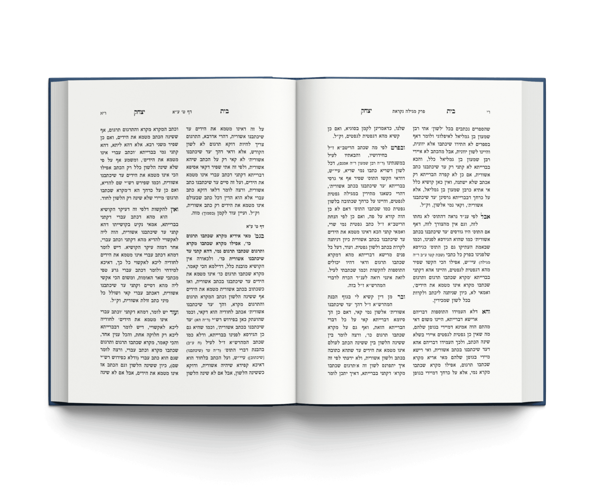 דוגמת עימוד — סטודיו שוירץ